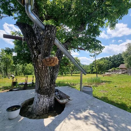 Casa Primitoare In Inima Naturii Si Padurii Rasca  Εξωτερικό φωτογραφία