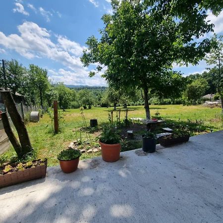 Casa Primitoare In Inima Naturii Si Padurii Rasca  Εξωτερικό φωτογραφία