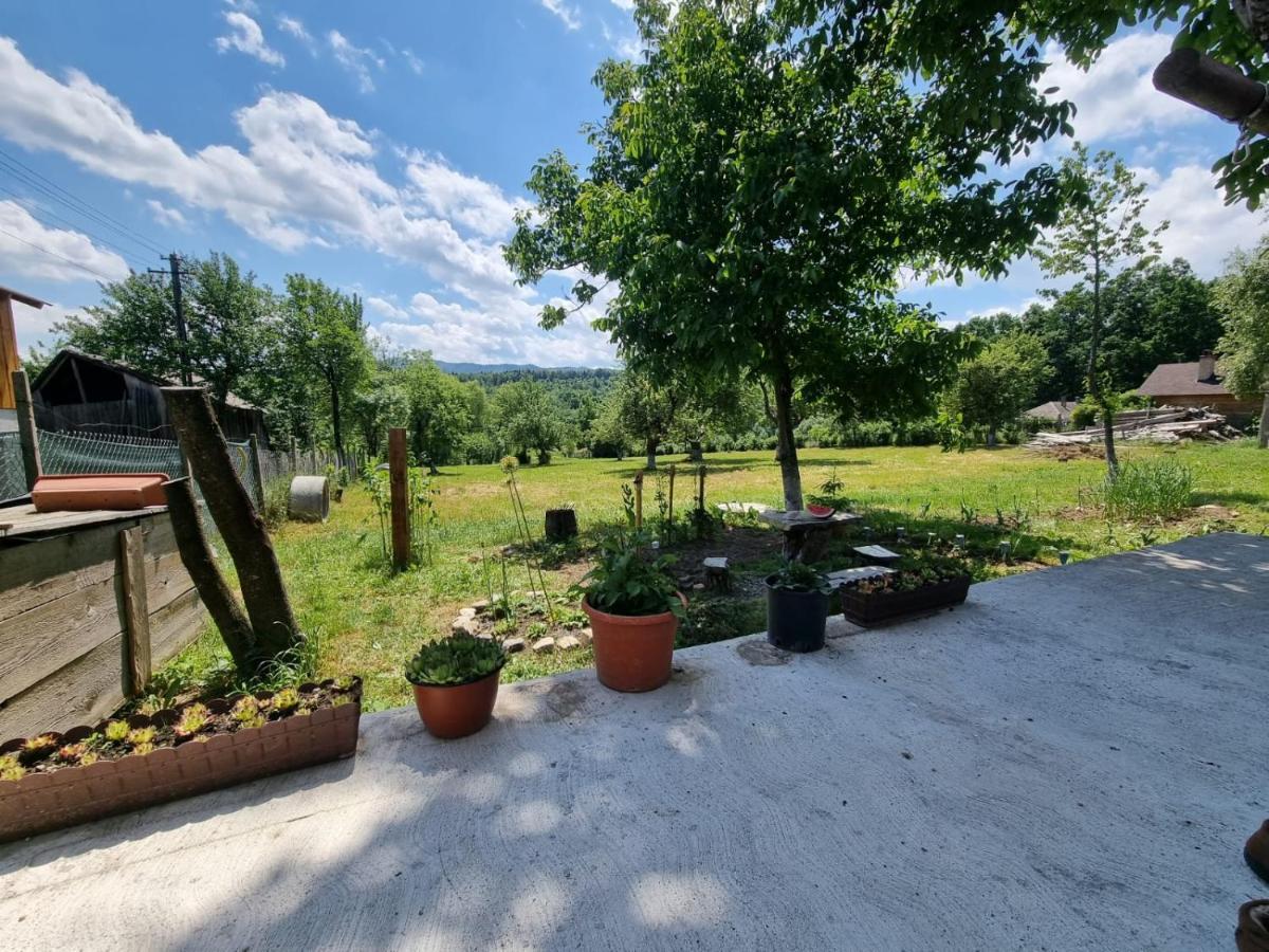 Casa Primitoare In Inima Naturii Si Padurii Rasca  Εξωτερικό φωτογραφία