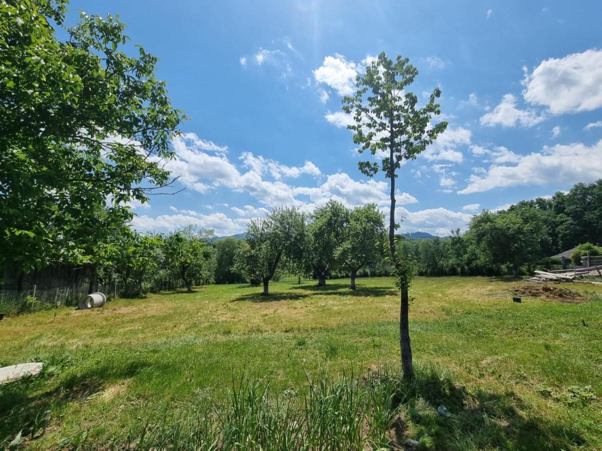 Casa Primitoare In Inima Naturii Si Padurii Rasca  Εξωτερικό φωτογραφία